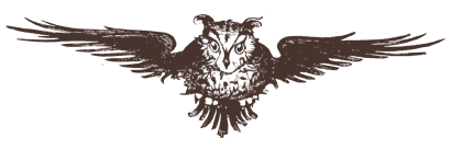 owl